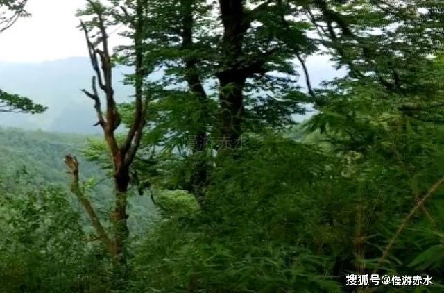 易币付游戏画面